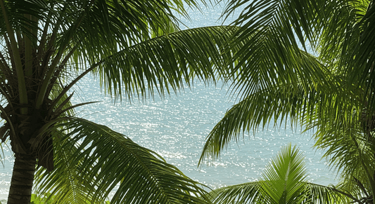 From Pool Days to Beach Escapes: Why Non-Nano Zinc Is Your Summer MVP