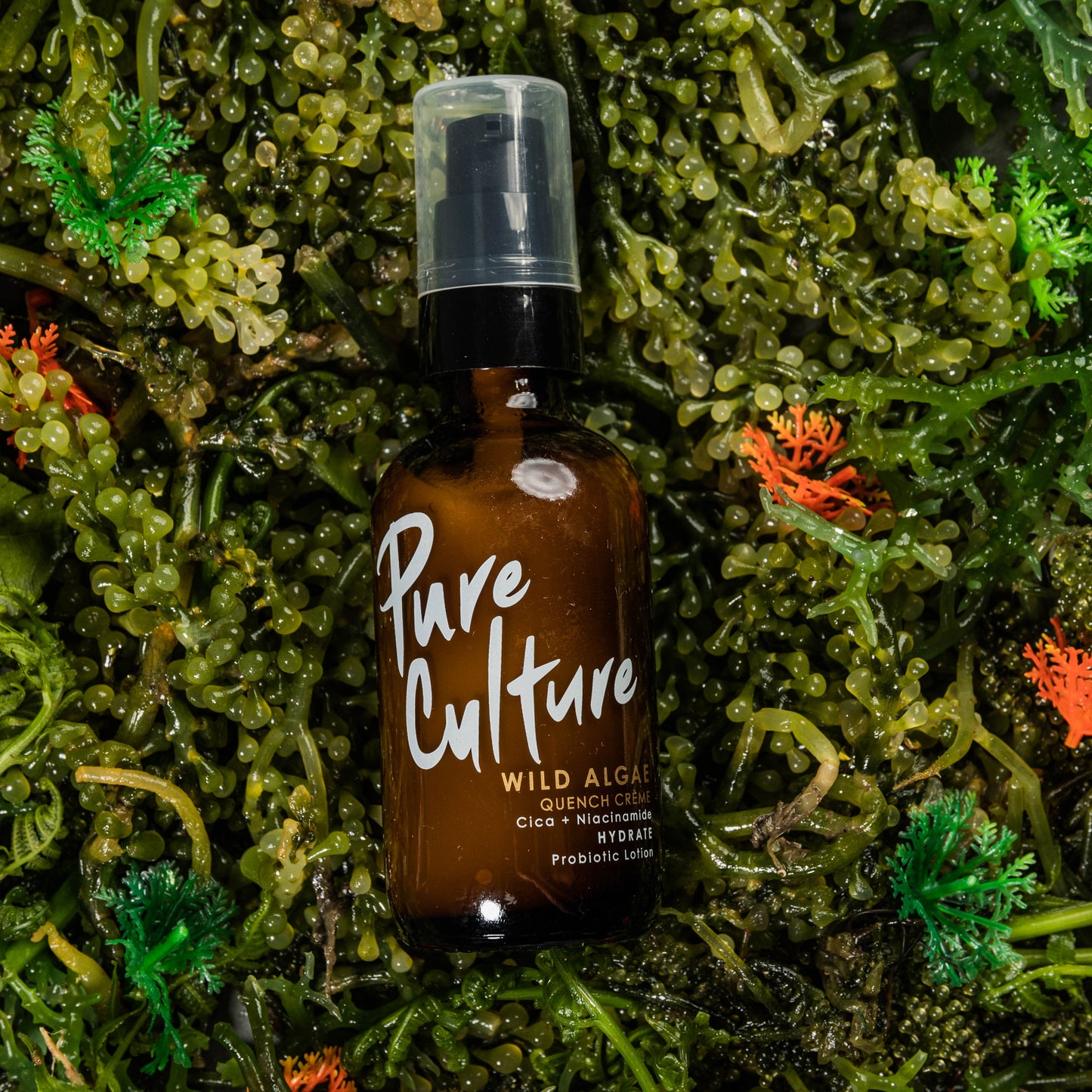 Wild Algae Quench Crème 2.0 (New & Improved)