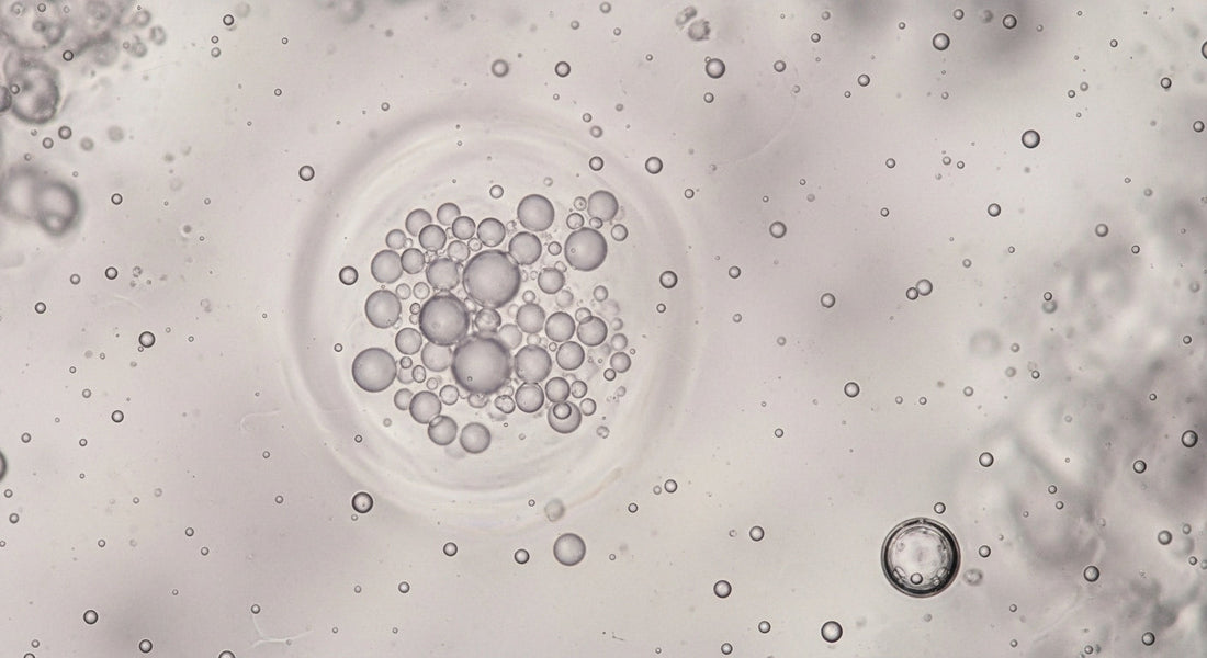 Niacinamide — The Multitasker Your Skin Barrier Loves