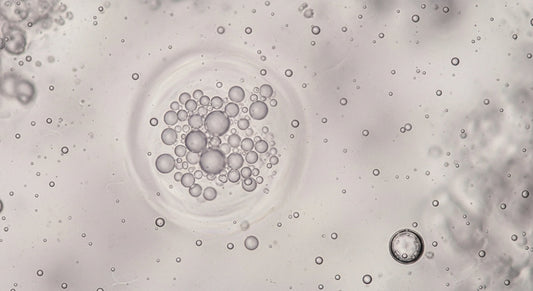 Niacinamide — The Multitasker Your Skin Barrier Loves