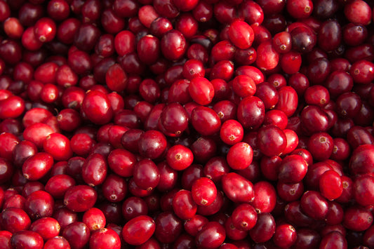Cranberries, one of the fruits where phytoomega can be extracted