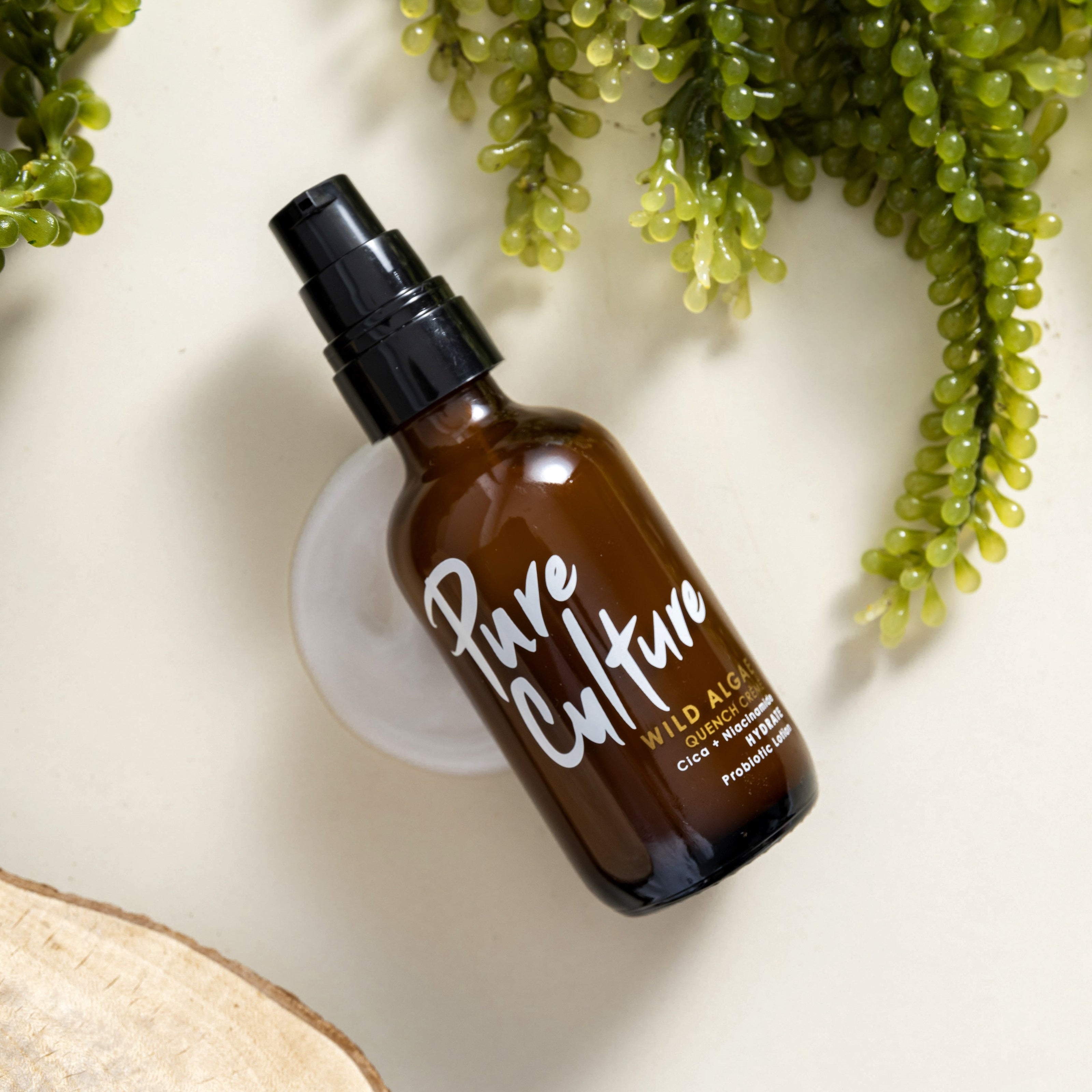 Wild Algae Quench Creme